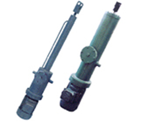 整體直（zhí）式電（diàn）液推杆